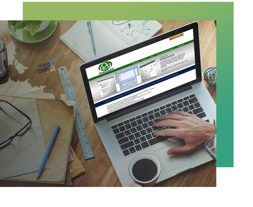 custom-business-applications